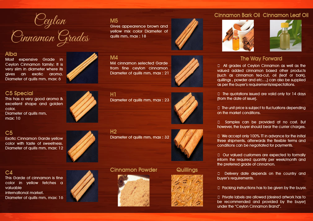 Leaflet