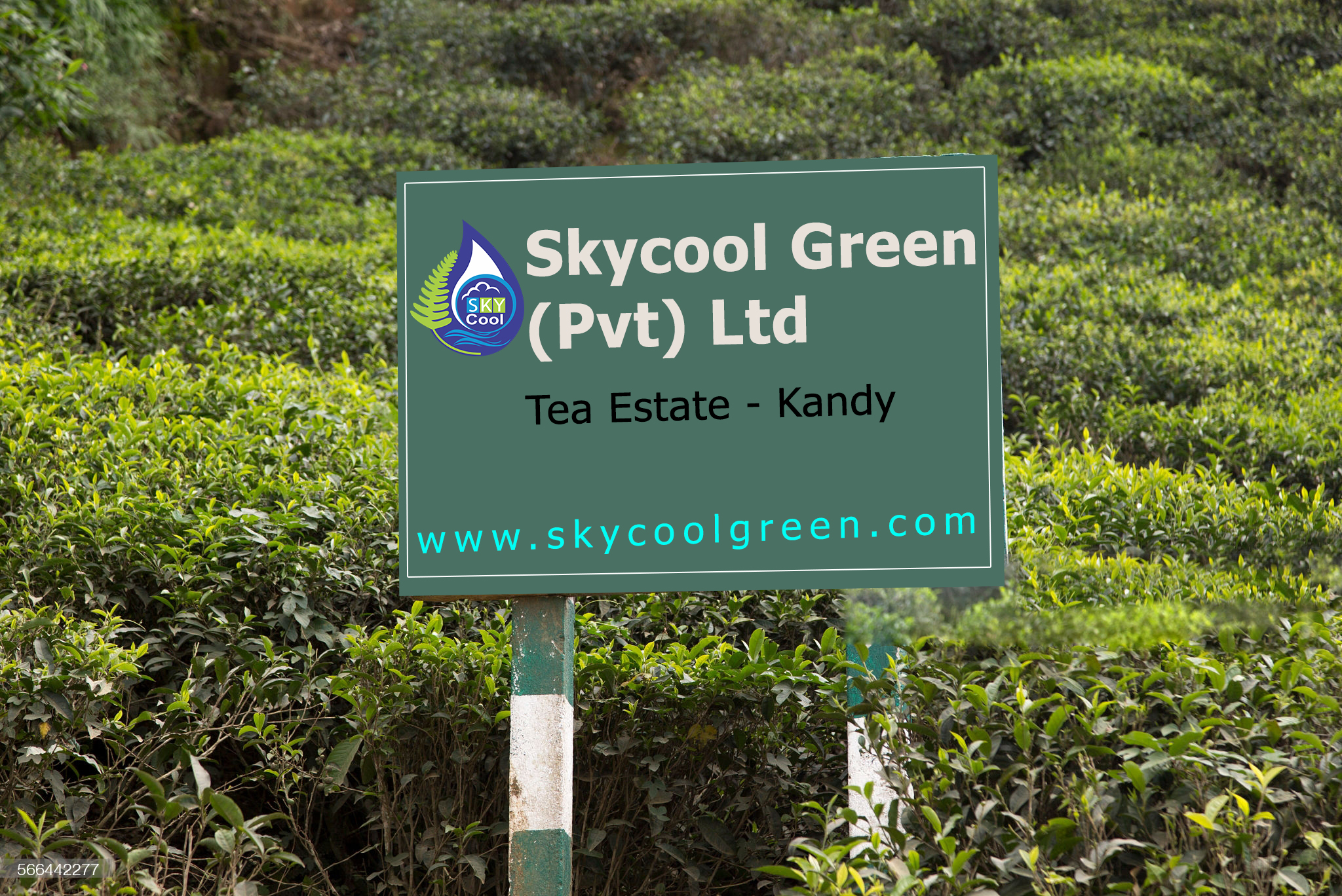 iMac 27インチ2020 3.6GHz 8コア Intel Core i7 SkyCool Green Organic Foods Sri Lanka
